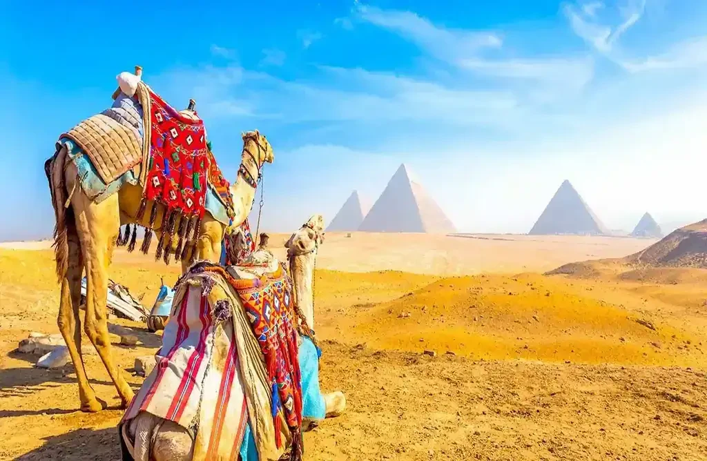 Camel Ride Pyramids