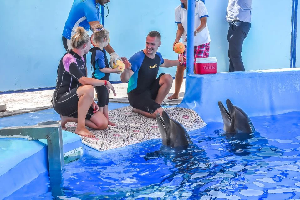 Espetáculo de Golfinhos em Hurghada