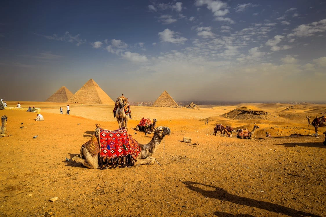 Viagem de um dia de Hurghada ao Cairo de avião