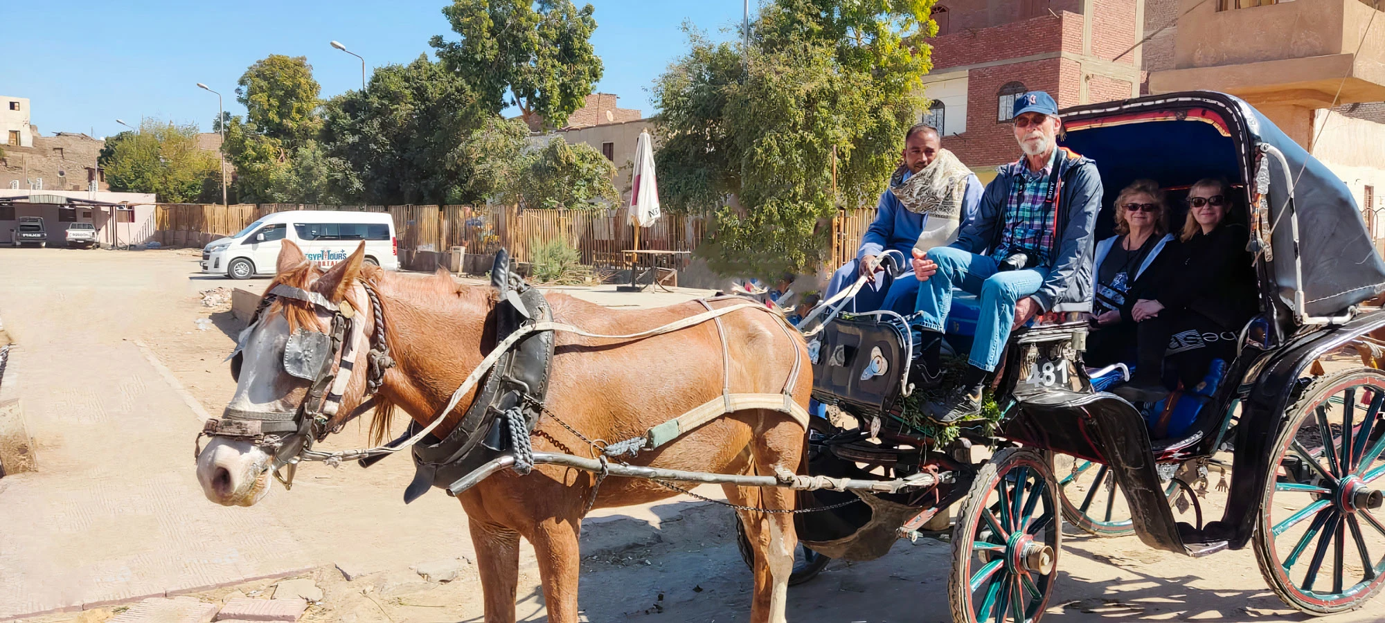 Passeio pela Cidade de Aswan em Carruagem Puxada por Cavalos