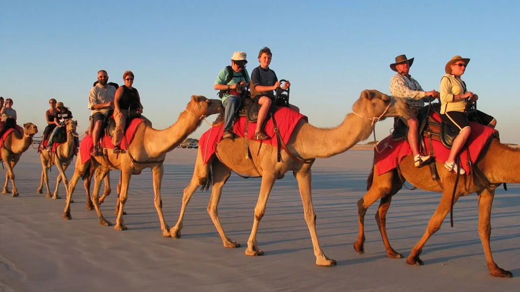 Luxor Camel Ride