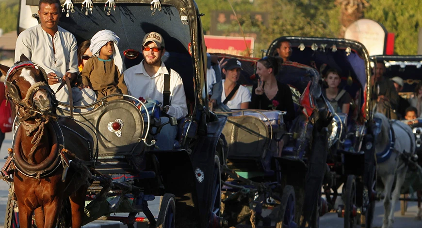 Horse Carriage in Luxor Day Tour