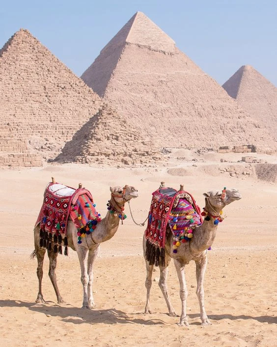 8 Days in Cairo, Alexandria, and Luxor Family Tour