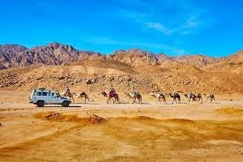 Day Tour to Dahab Desert Safari