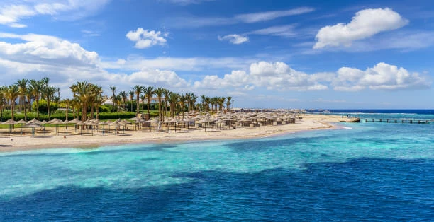 Marsa Alam Day Tour