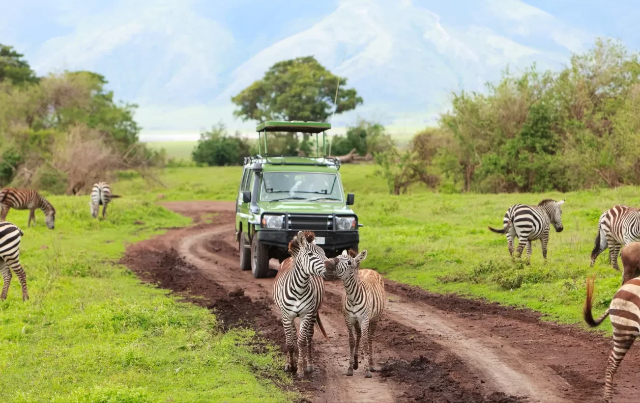 Guia de Viagem para Safari na África