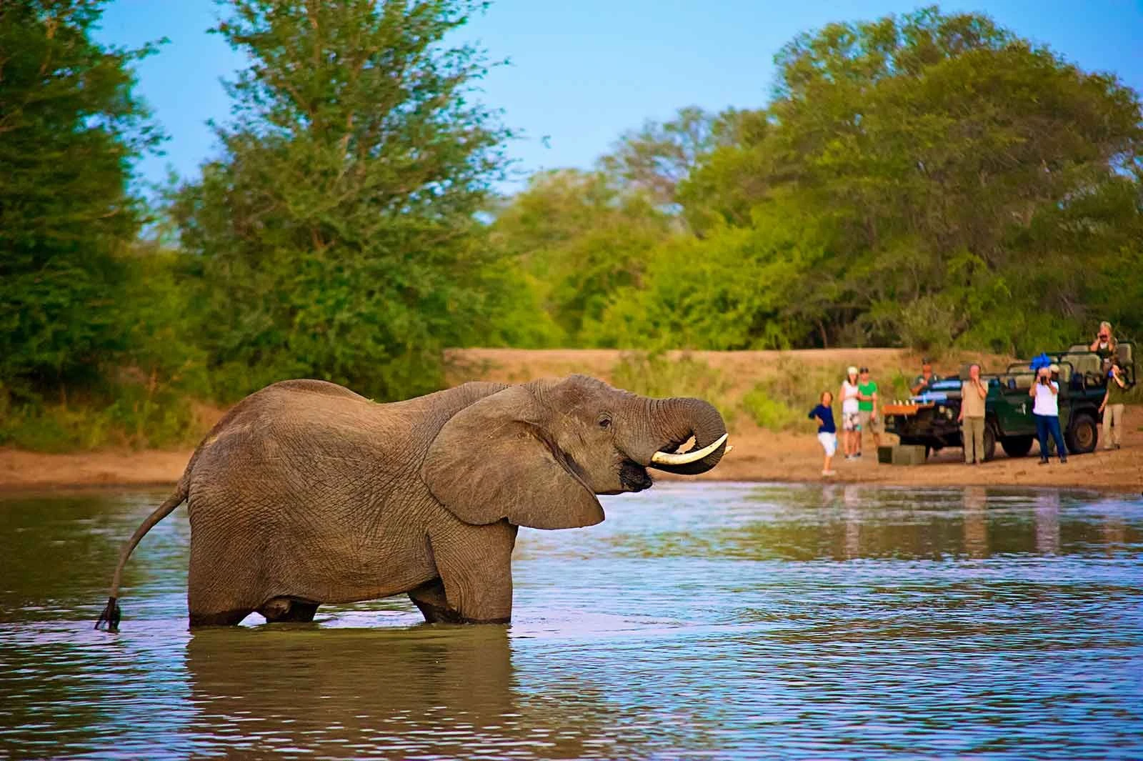 Kruger National Park