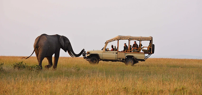 Tour de Safari no Quênia