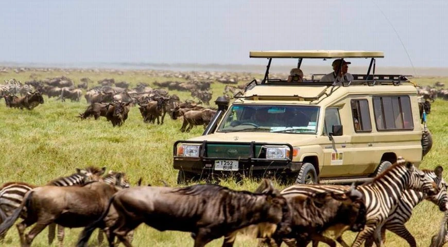 In Upendi Tanzania Safari Tour