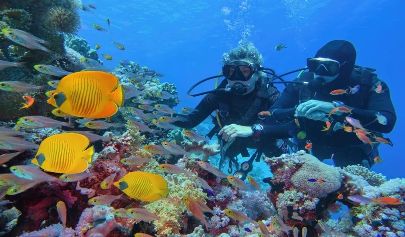 Hurghada Diving Spots