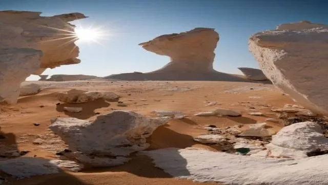 The White Desert